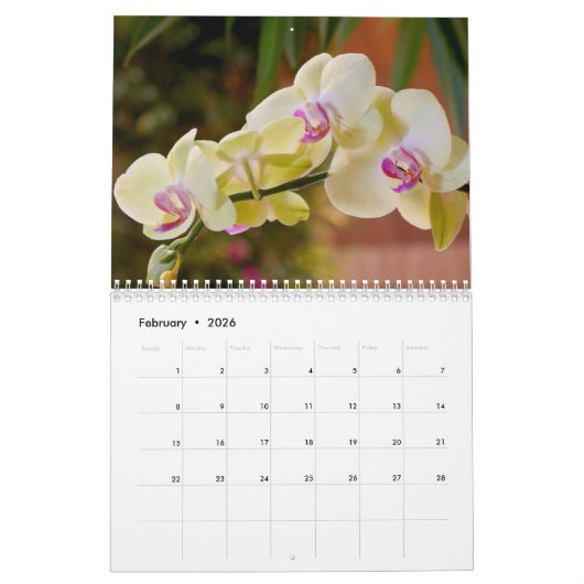 De schoonheid van Orchideeën Kalender (Feb 2026)