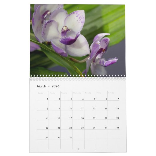 De schoonheid van Orchideeën Kalender (Mar 2026)