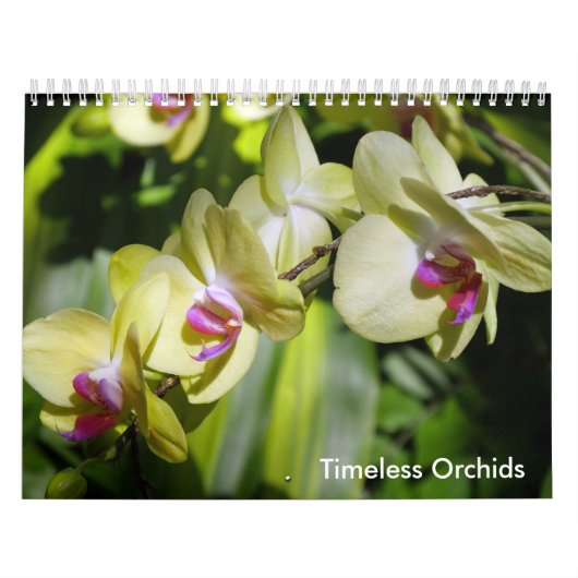 De schoonheid van Orchideeën Kalender (Hoes)