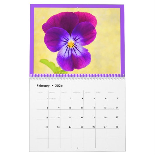 De schoonheid van Violets Calendar Kalender (Feb 2026)