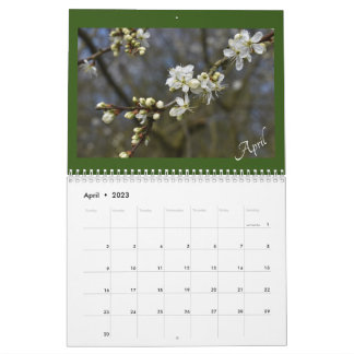 De schoonheidskalander van de Natuur vastleggen Kalender