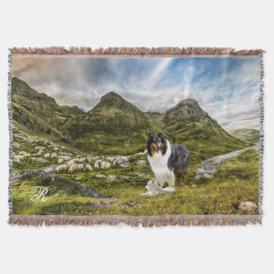 De Schotse Collie van Tricolor in Deken
