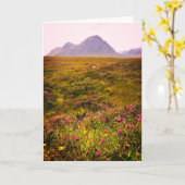 De Schotse Kaart van Hooglanden (Gele Bloem)