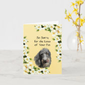 De Schotse sympathie van Deerhound en van de Kaart (Gele Bloem)