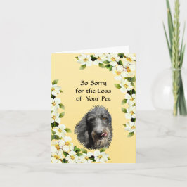 De Schotse sympathie van Deerhound en van de Kaart