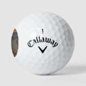 De schreeuw van Natuur, Edvard Munch, 1893 Golfballen (Logo)