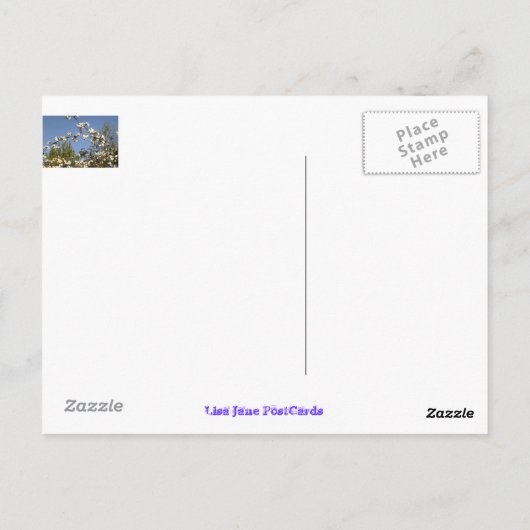 De schrijver Roll Top Desk Briefkaart (Achterkant)