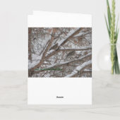 De Schuilplaats van Kerstmis van vogels Feestdagen Kaart (Achterkant)