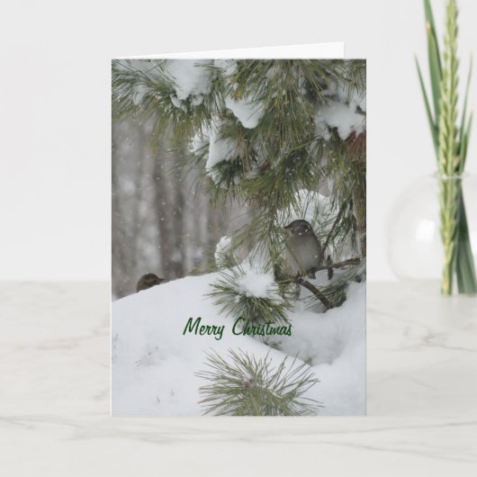 De Schuilplaats van Kerstmis van vogels Feestdagen Kaart (Voorkant)