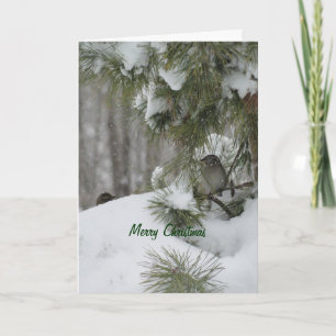 De Schuilplaats van Kerstmis van vogels Feestdagen Kaart