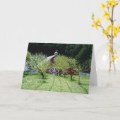 De Schuur van Westside Kaart (Gele Bloem)