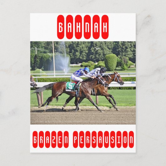 De Schuylerville-Stakes Briefkaart (Voorkant)