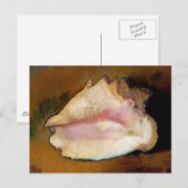 De Seashell, c. 1912 Briefkaart (Voorkant / Achterkant)