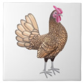 De Sebright Bantam Rooster Tile Tegeltje (Voorkant)