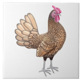 De Sebright Bantam Rooster Tile Tegeltje