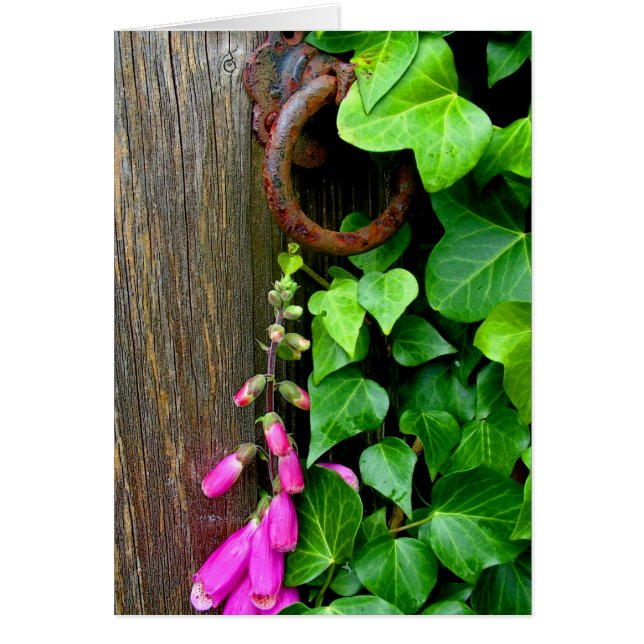 DE SECRET DEUR (Voorkant)