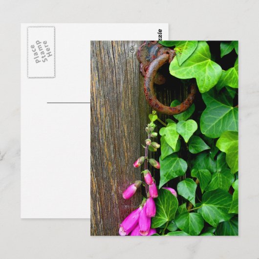 DE SECRET DEUR BRIEFKAART (Voorkant / Achterkant)