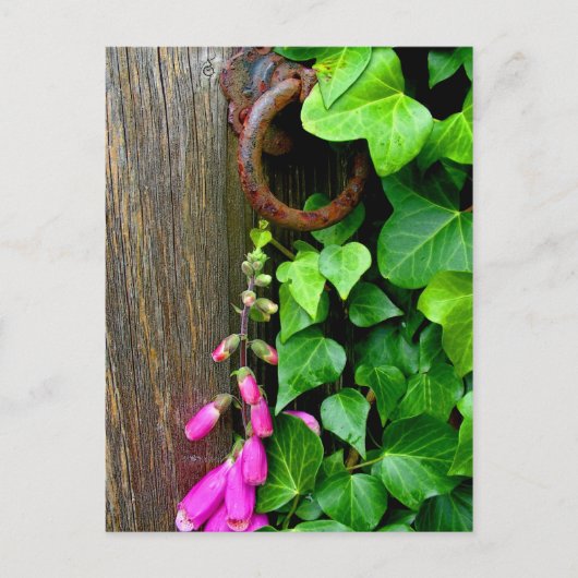 DE SECRET DEUR BRIEFKAART (Voorkant)