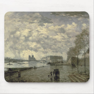 De Seine and Notre Dame Muismat