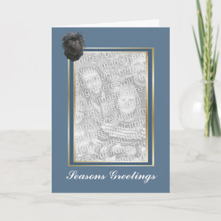 De Seizoenen die van Affenpinscher Photocard Feestdagen Kaart