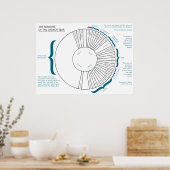 De seizoenen van de Christelijke kerkjaargrafiek Poster (Keuken)