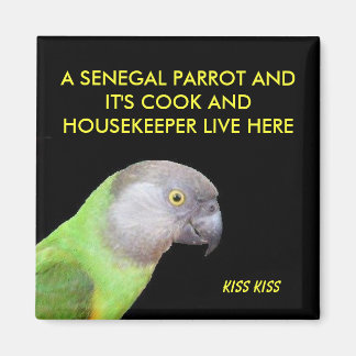De Senegal Parrot Pet Magneet