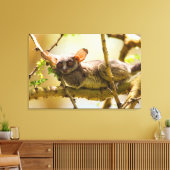 De Senegalgalago (Galago senegalensis) Canvas Afdruk (Insitu (Woonkamer))