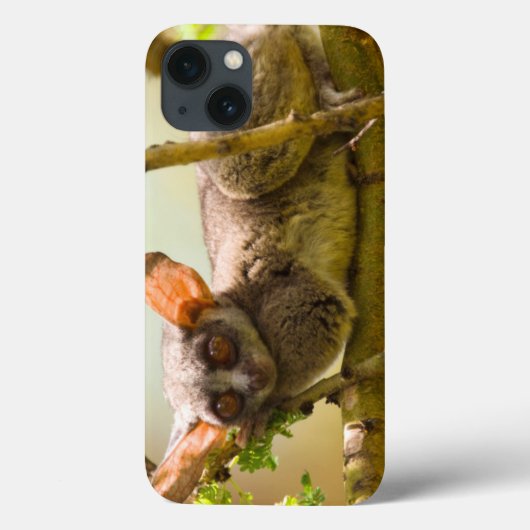 De Senegalgalago (Galago senegalensis) Case-Mate iPhone Case (Achterkant)