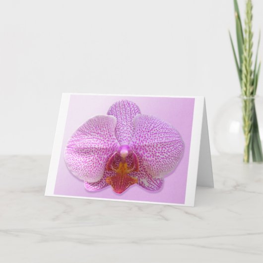 De sensuele Kaart van de Kunst (Voorkant)