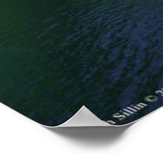 De Sentinel Poster (Hoek)