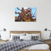 De Sentinel Tree Canvas Afdruk (Insitu (Slaapkamer))