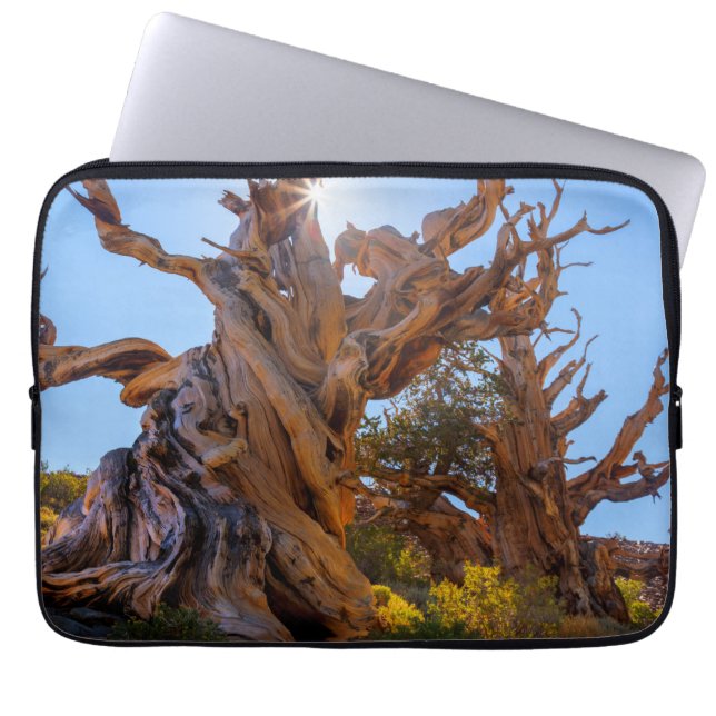 De Sentinel Tree Laptop Sleeve (Voorkant)