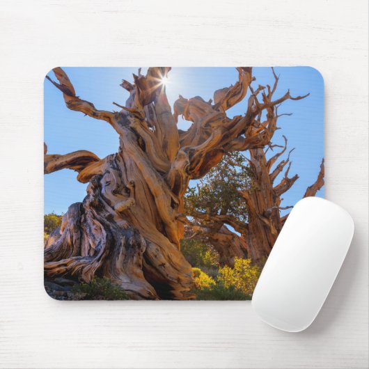 De Sentinel Tree Muismat (Met muis)