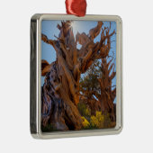 De Sentinelboom Metalen Ornament (Rechts)
