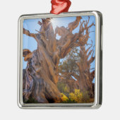 De Sentinelboom Metalen Ornament (Links)
