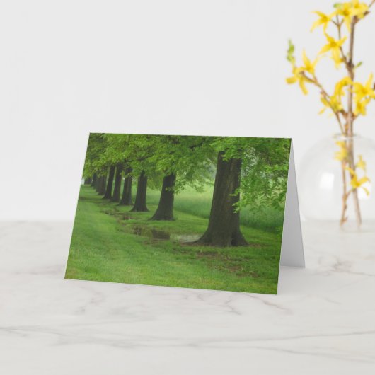 De Sentinels Kaart (Gele Bloem)