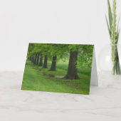 De Sentinels Kaart (Voorkant)