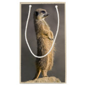De Sentry Gift Bag Klein Cadeauzakje (Achterkant)