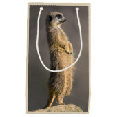 De Sentry Gift Bag Klein Cadeauzakje (Voorkant)