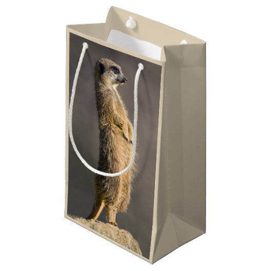 De Sentry Gift Bag Klein Cadeauzakje (Voorkant Gekanteld)