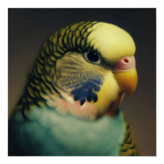 De sereniteit van Budgie Perfect Poster (Voorkant)