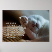 De Serenity Prayer Peaceful Cat Slaping Poster (Voorkant)