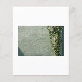 De serie legt het hart van de straat van het Veren