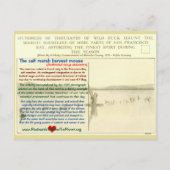 De SF Bay "Salt Marsh" muizen zijn bedreigd - Feestdagenkaart (Achterkant)