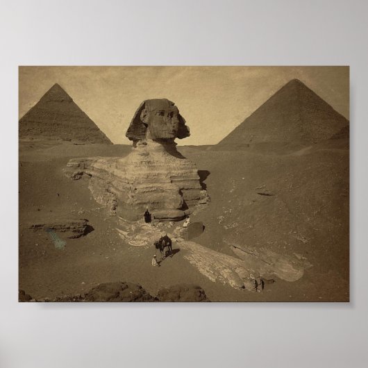 De Sfinx en Pyramiden in Egypte ongeveer 1867 Poster (Voorkant)