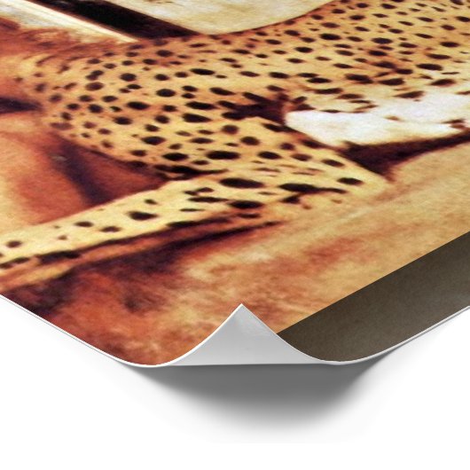 De sfinx of de jurken van Fernand Khnopff Poster (Hoek)