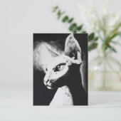 De sfonx haarloze kat zwart-wit originele kunst briefkaart (Staand voorkant)