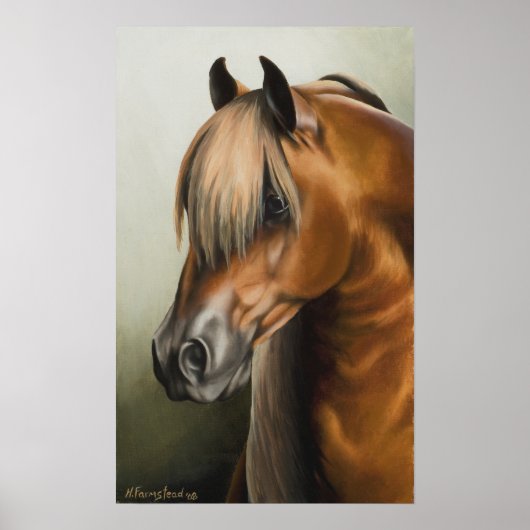 De Sharade Poster (Voorkant)