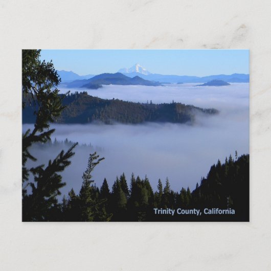 De Shasta boven de mist zetten... Briefkaart (Voorkant)