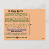 De Shasta rivierkreeft is bedreigd - 3 - Feestdagenkaart (Achterkant)